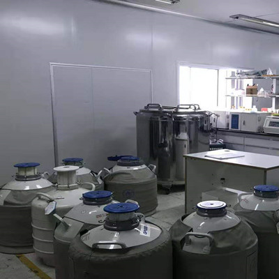 亮氨酸氨基肽酶(LAP)测试盒_微量法