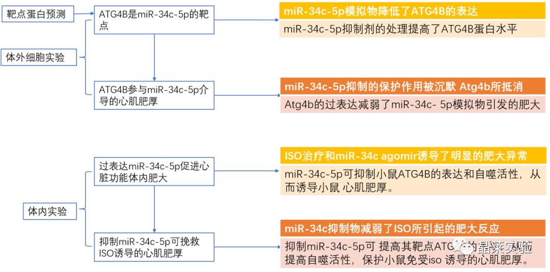 技术资料图片3
