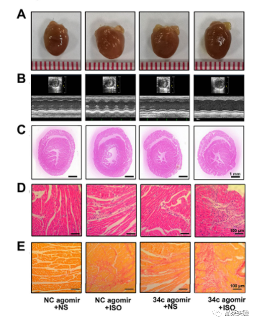 技术资料图片12