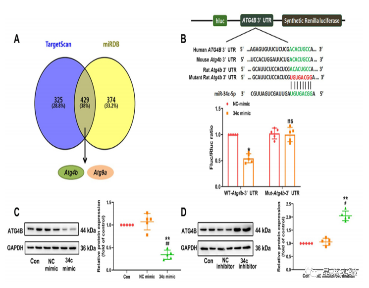 技术资料图片10