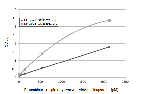 Respiratory Syncytial virus Nucleoprotein antibody [HL1291]