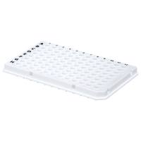 PCR板（LC480专用）