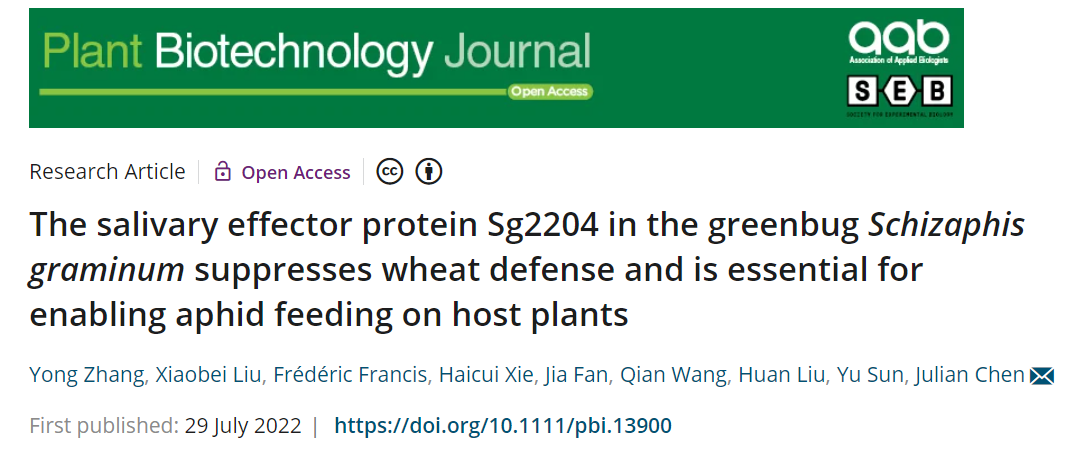 「青莲客户文献」青莲客户文章—麦蚜唾液蛋白效应子抑制小麦免疫反应机制
