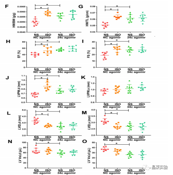 技术资料图片13