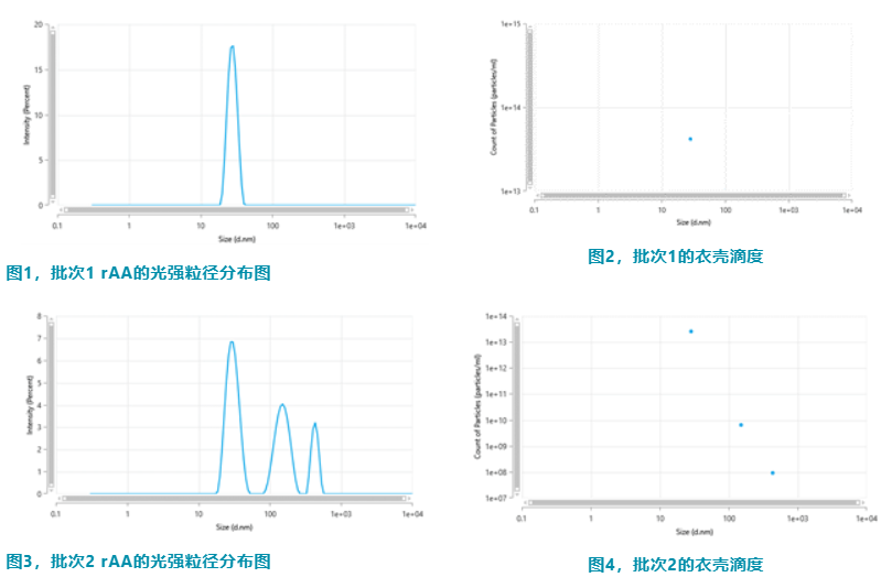 【AAV 热点应用】Zetasizer 精准表征 rAAV 颗粒粒径及衣壳滴度