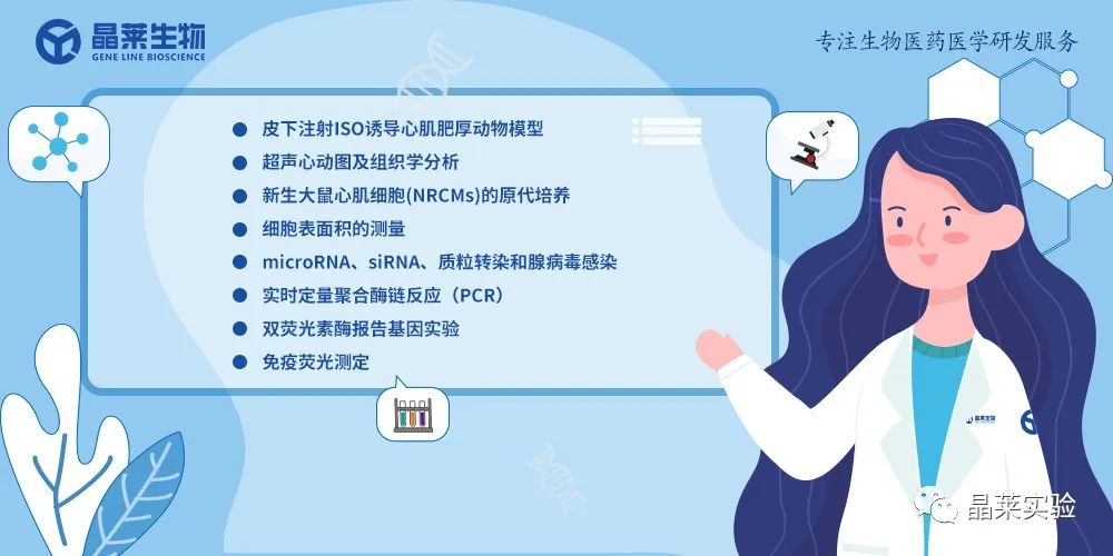 技术资料图片15