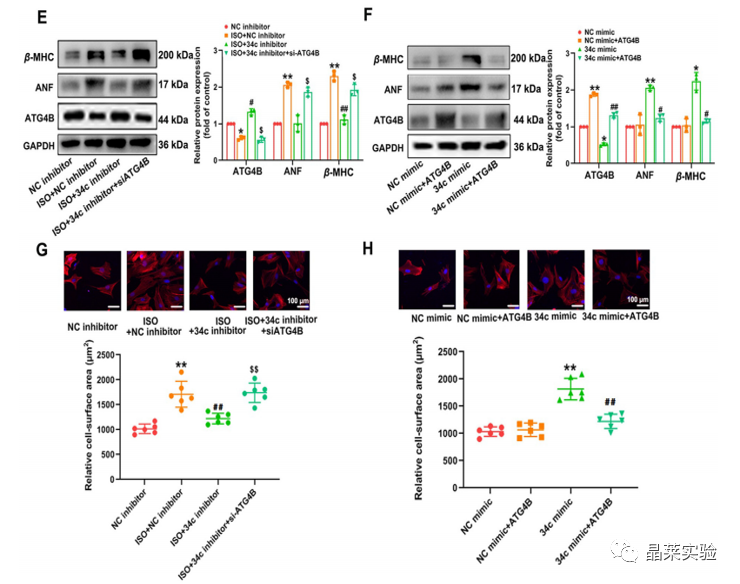 技术资料图片11