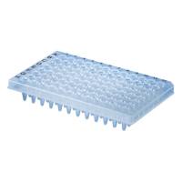 半裙边高位PCR透明板