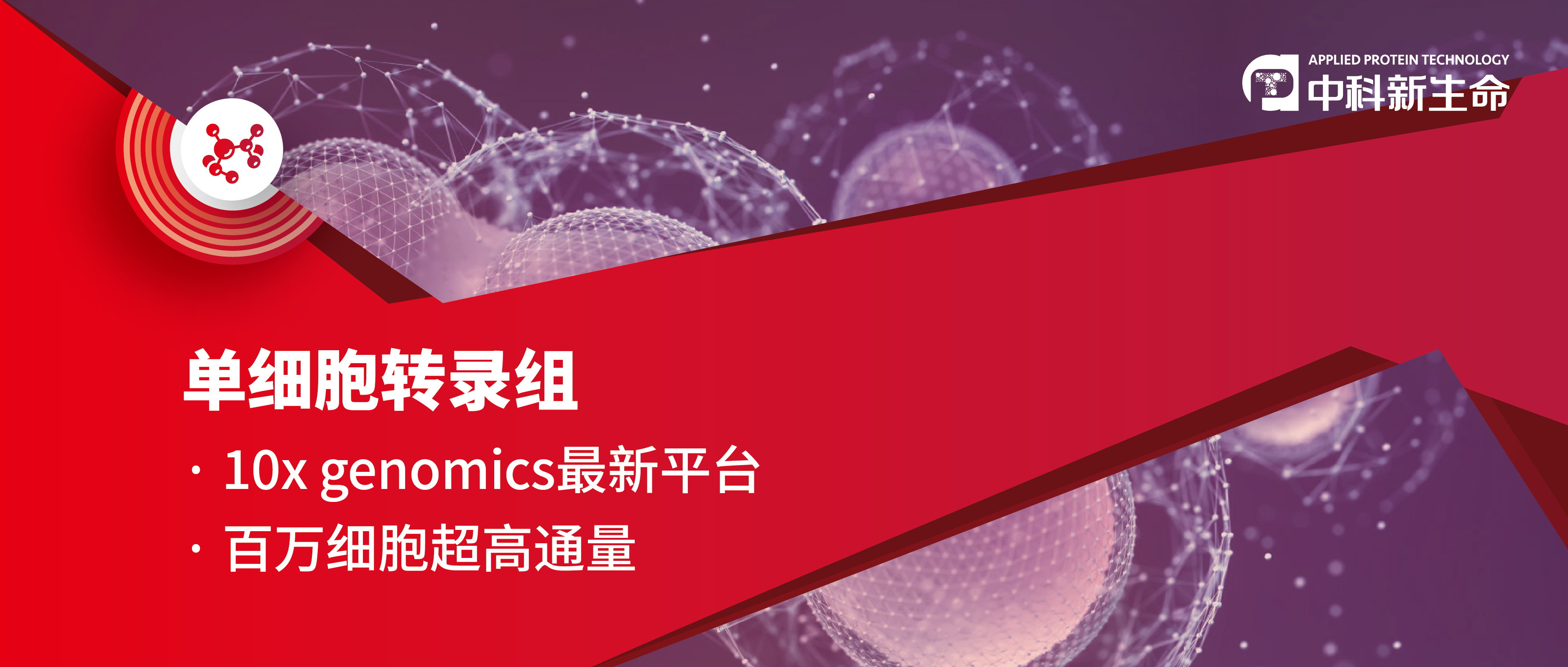 单细胞测序专题 | monocle2拟时序分析前后结果不一致？带您认识一款新的分析软件PAGA
