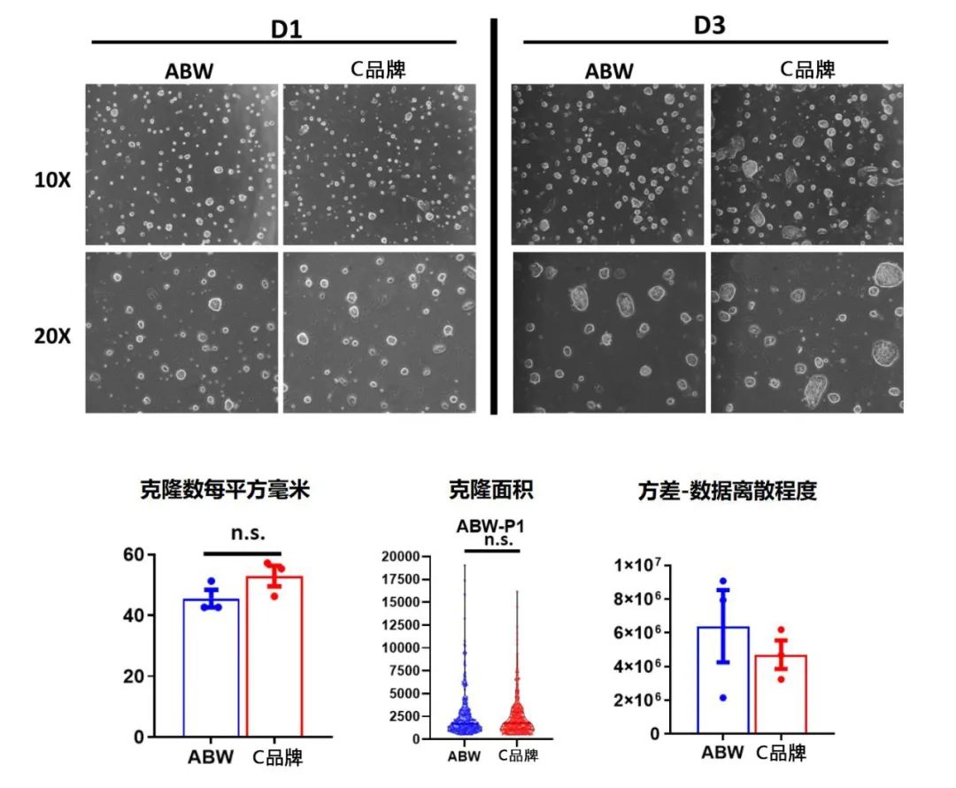 【测试报告】ABW vs C品牌基质胶 ：扩展型多能干细胞（EPSC）培养及分化