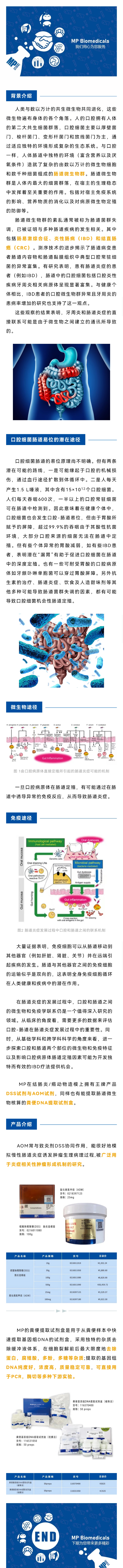 【文献解读】口腔与肠道疾病不得不说的两三事