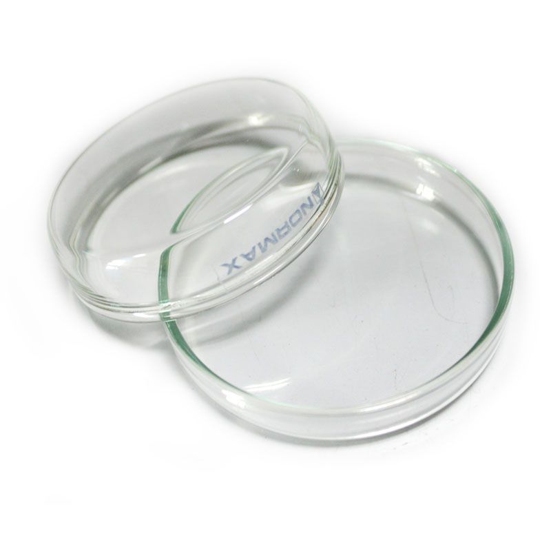 Normax 5058541 玻璃培养皿 15x60 mm