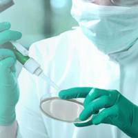 转铁蛋白修饰聚乙二醇磷脂DSPE-PEG- Tf /Transferrin/ Angiopep/ GE11/TAT