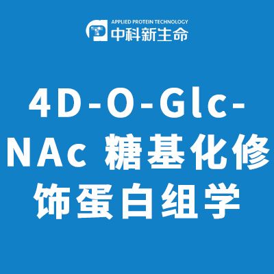 4D-O-GlcNAc 糖基化修饰蛋白组学