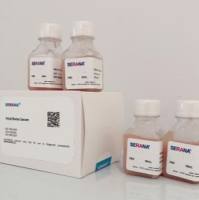 SERANA免分装优级胎牛血清