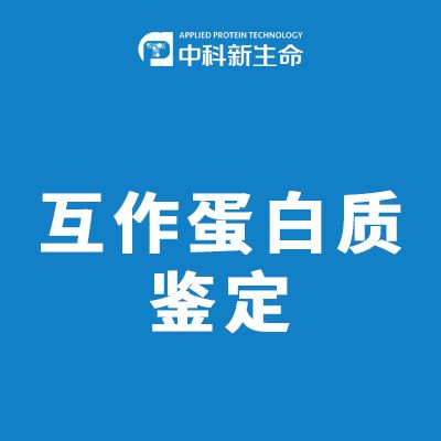 互作蛋白质鉴定