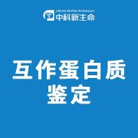 互作蛋白质鉴定