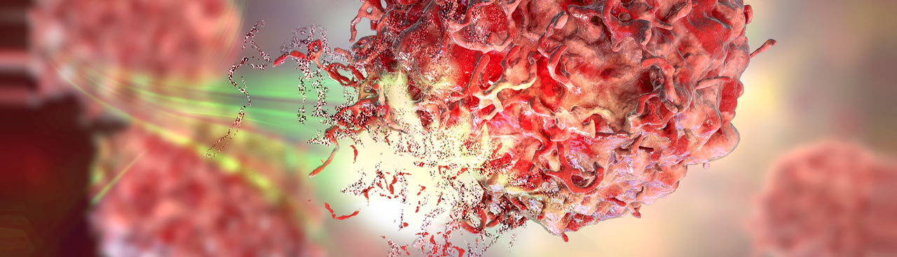 CA IX: 酸碱调节和肿瘤发生的驱动因子