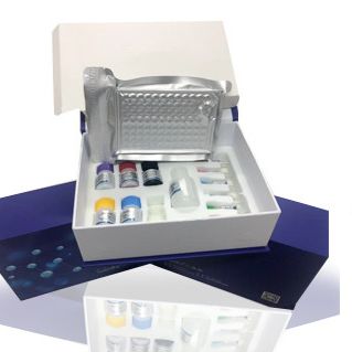 海藻糖酶(THL)测试盒_微量法