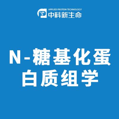 N-糖基化蛋白质组学