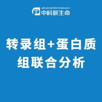 转录组+蛋白质组联合分析