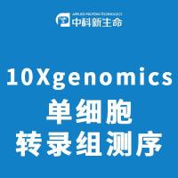 10Xgenomics单细胞转录组测序