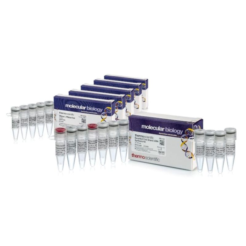 Fermentas K16225 RT逆转录试剂盒（含DNA酶）