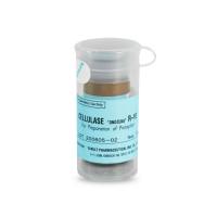 Yakult 纤维素酶R-10 纤维素酶R-10