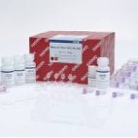 74904 qiagen 凯杰优秀代理商 RNeasy Plant Mini Kit (50)