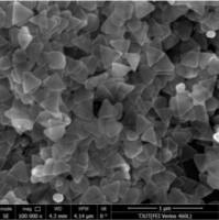 25-30nm 银纳米三角片银纳米片 10ml