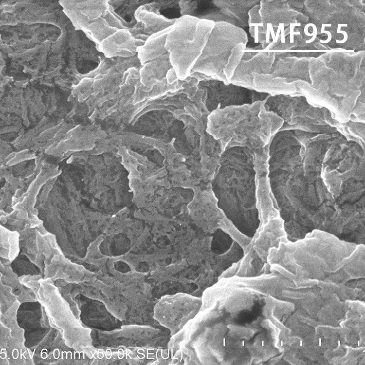 甘露醇微晶交聚木钙共处理物
