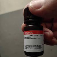 结肠炎诱导剂TNBS