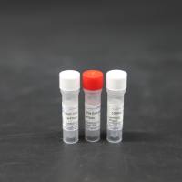 LabpO TOPO-TA/Blunt通用克隆试剂盒（零背景）