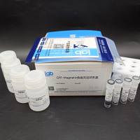 GFP-Magnetic免疫沉淀试剂盒（含1.5ML，6孔磁力架） 