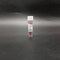 2×Lab FL PCR MasterMix