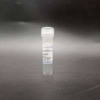 Plant β-actin mouse Mab