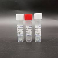 LabpO TOPO-TA/Blunt Simple通用克隆试剂盒（零背景）