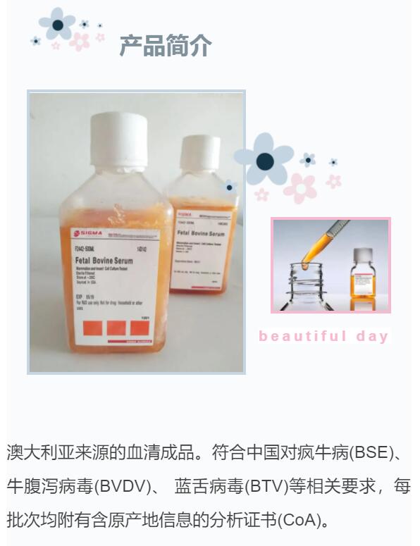  sigma澳洲血源血清现货供应！