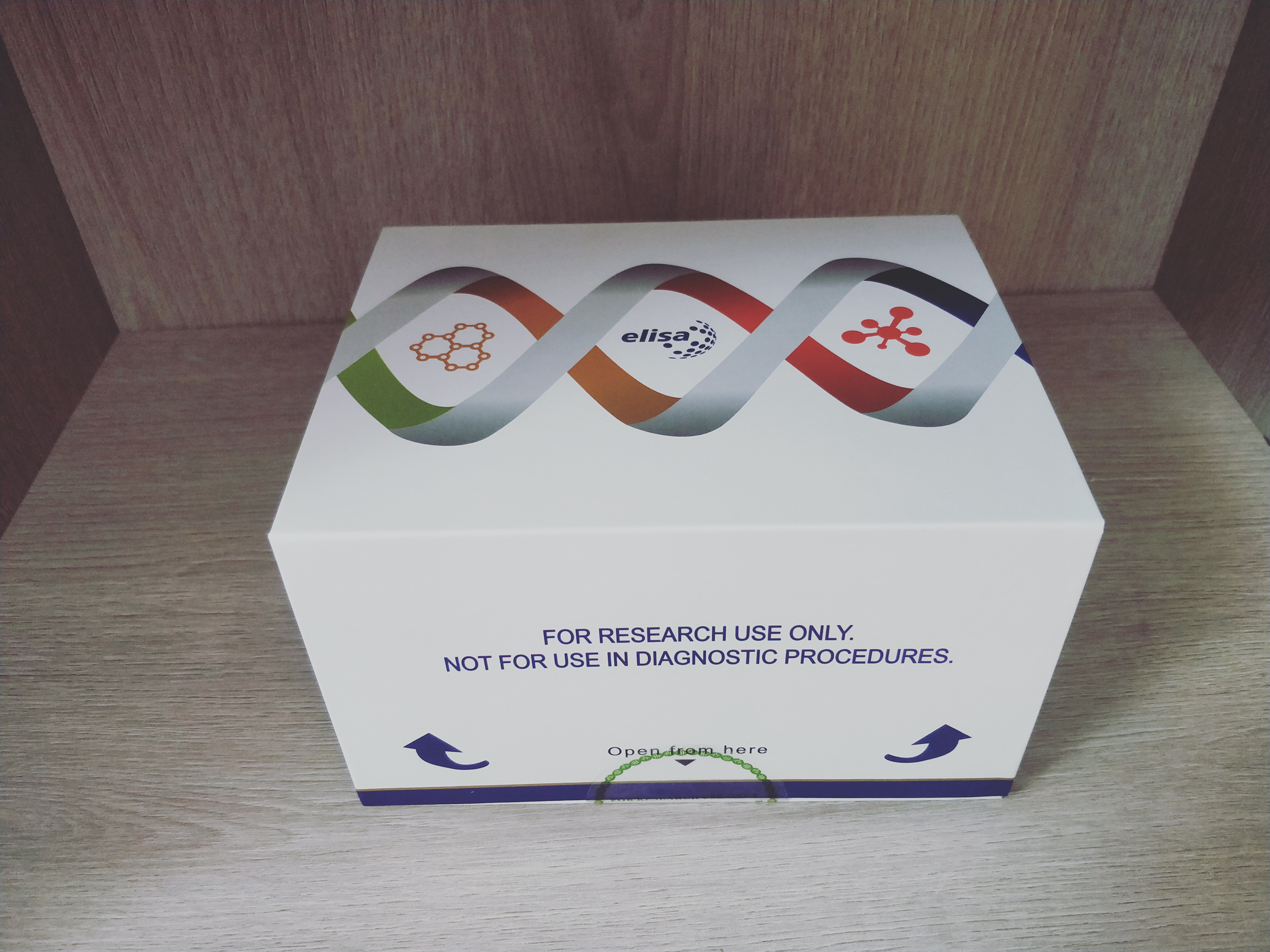 人受体TNFRSF结合丝氨酸苏氨酸激酶2(RIPK2)ELI