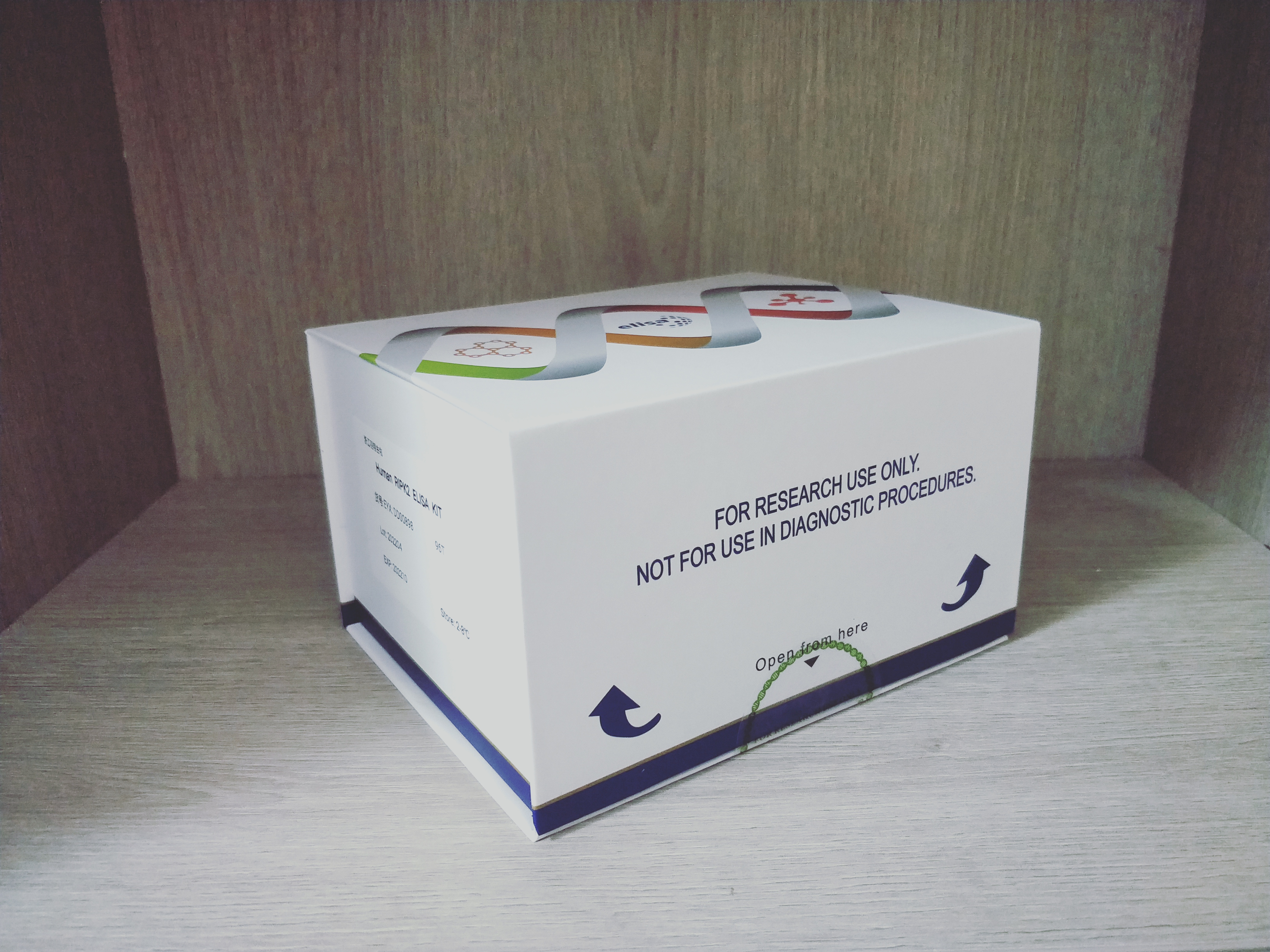 人受体TNFRSF结合丝氨酸苏氨酸激酶2(RIPK2)ELI