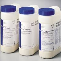 BD Difco 232100 Difco脱脂奶粉500g/瓶