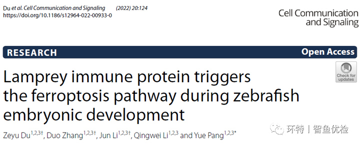 七鳃鳗LIP作为铁死亡的诱导剂调控胚胎发育的分子机制丨全新研究