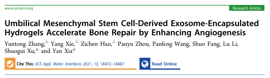 五分钟文献解读之《​水凝胶包裹的脐带间充质干细胞来源的外泌体通过增强血管生成来加速骨修复》