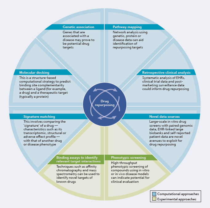 精准医学时代下心血管疾病的药物再利用