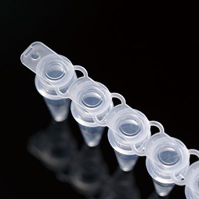 BIOCREATE™ RT-PCR专用8联排管盖