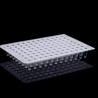 BIOCREATE™ 0.2ml无裙边96孔PCR板