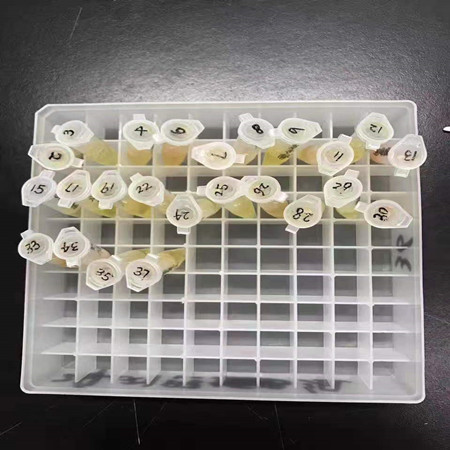  试剂盒实验的八大技巧 