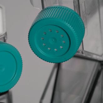 细胞培养瓶(TC处理),培养面积75cm²,透气盖,250ml容量