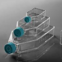 NEST T25细胞培养瓶,密封盖,Tc