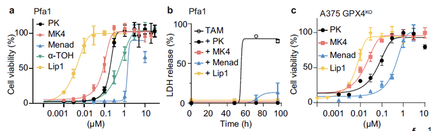 Nature 重磅 | 铁死亡新型抑制剂:生命守护神维生素K喜提新角色